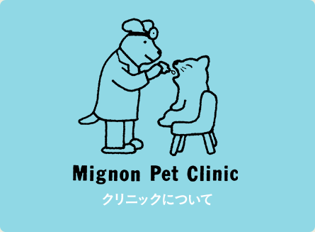 Mignon Pet Clinic クリニックについて